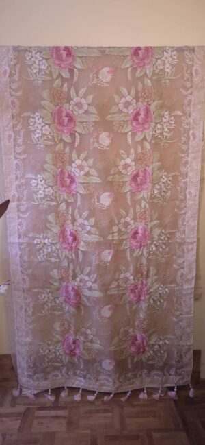 Dhakai Muslin-Organza Handcrafted Saree