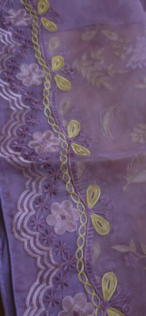 Dhakai Muslin-Organza Handcrafted Saree