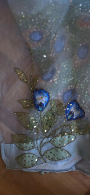 Dhakai Muslin-Organza Handpainted Saree