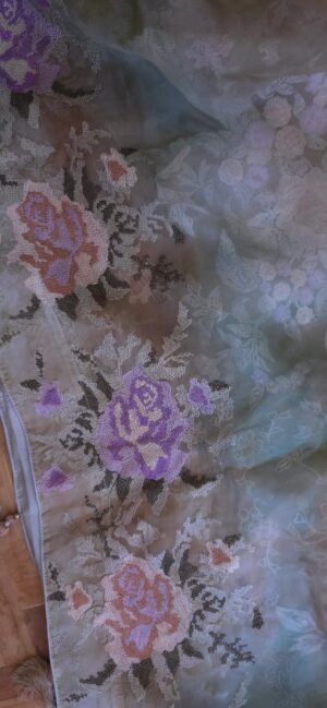 Dhakai Muslin-Organza Handcrafted Saree