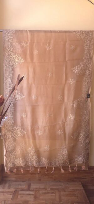 Dhakai Muslin-Organza Handcrafted Saree