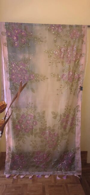 Dhakai Muslin-Organza Handpainted Saree